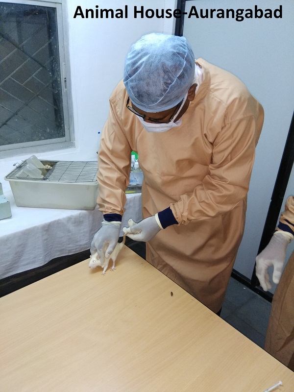 Animal House-Aurangabad